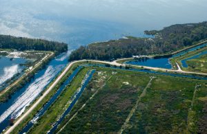 Aerial view of Lake Apopka