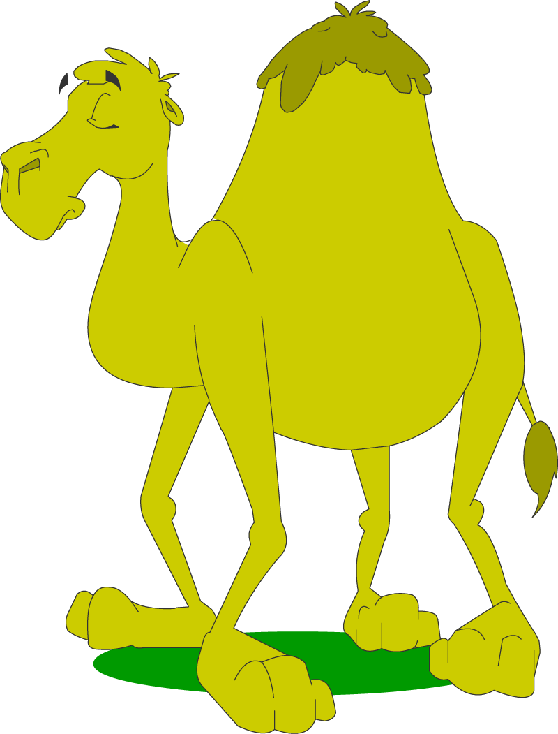 Illustration of a camel