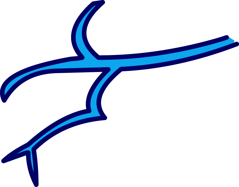 Illustration of the Amazon river