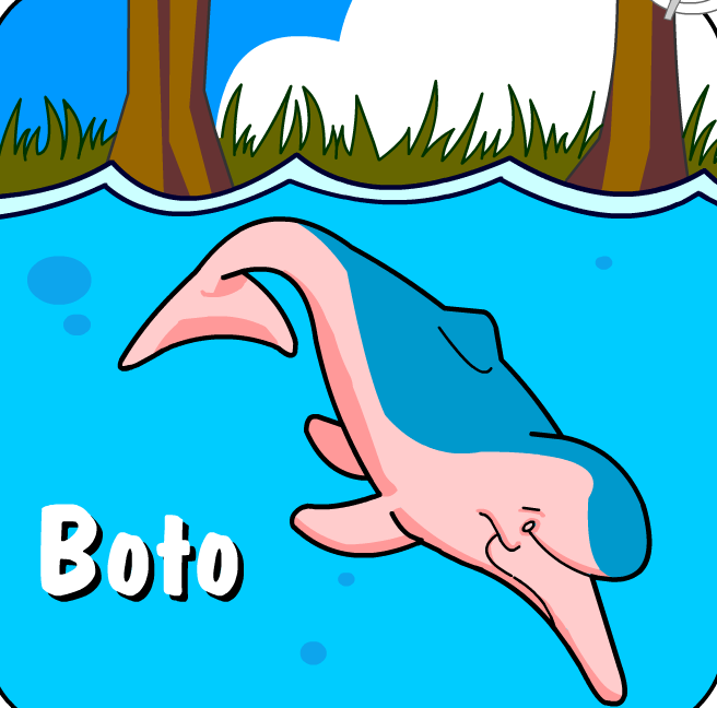 Illustration of a Boto